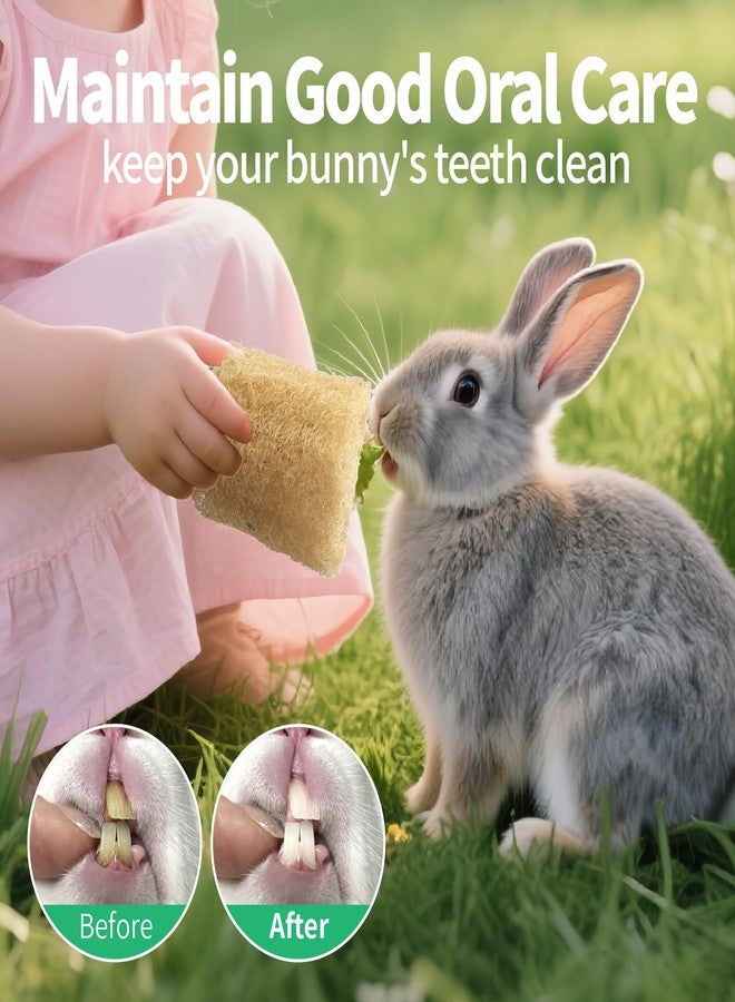 BESNEW 3 PCS Rabbit Chew Toys,100% Natural Loofah Without Additives,Bunny Chew Toys for Teeth,Fiber-Rich Rabbit Treats for Bunny Chinchilla Dogs - Image 5